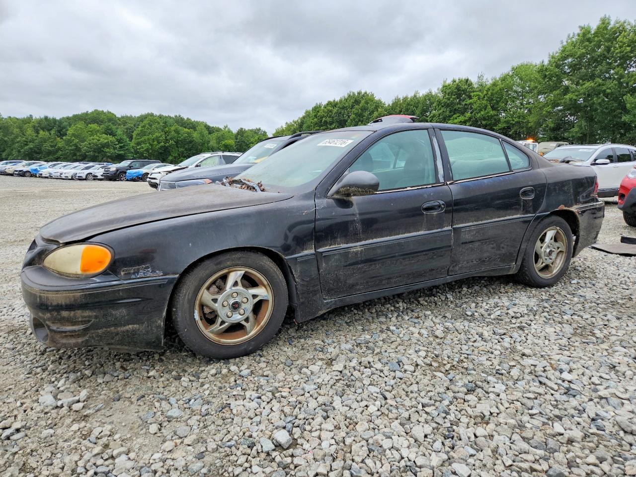 2002 Pontiac Grand Am Gt Black vin: 1G2NW52E32M703781