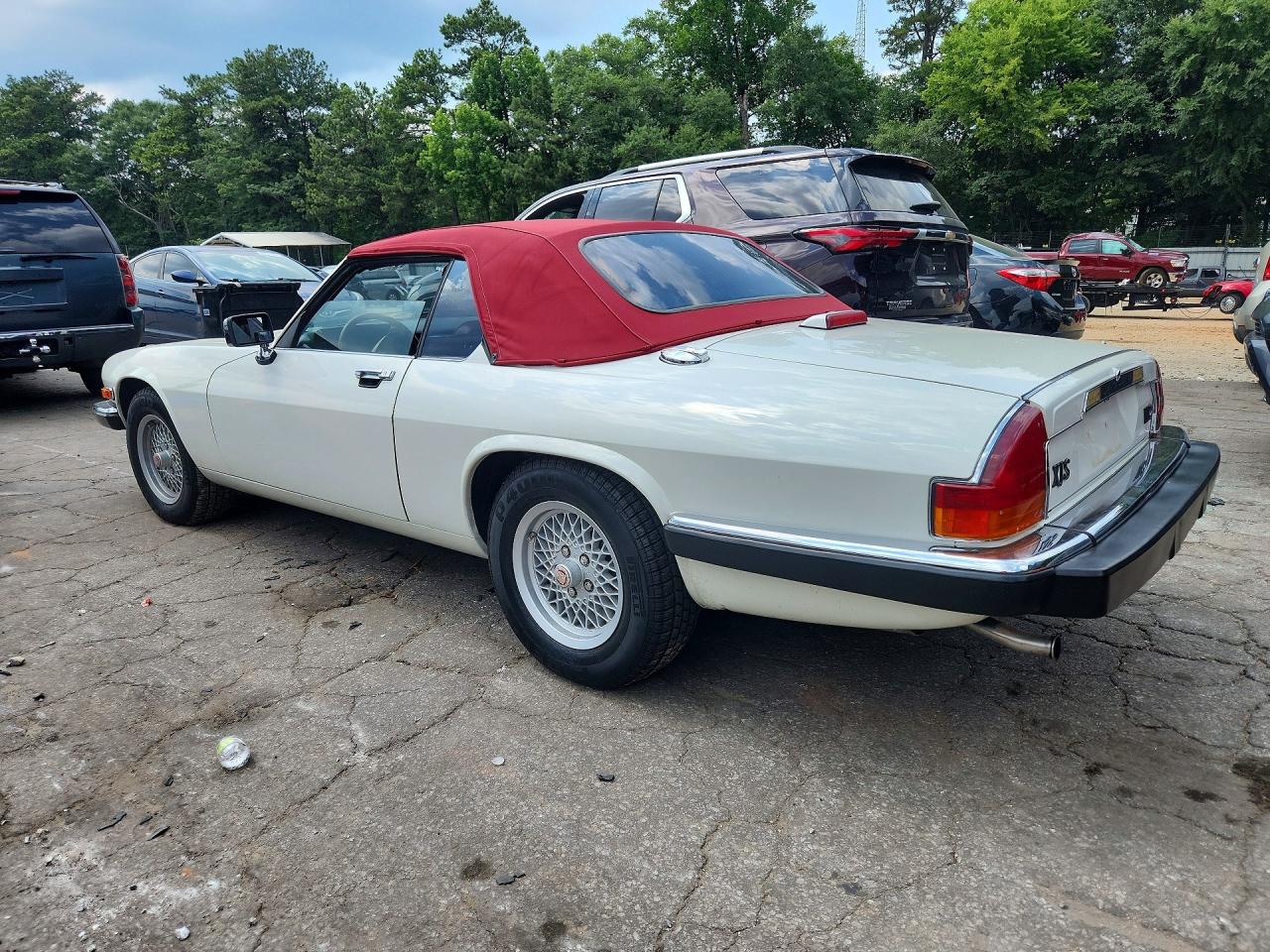 1989 Jaguar Xjs Белый vin: SAJNV4840KC162400
