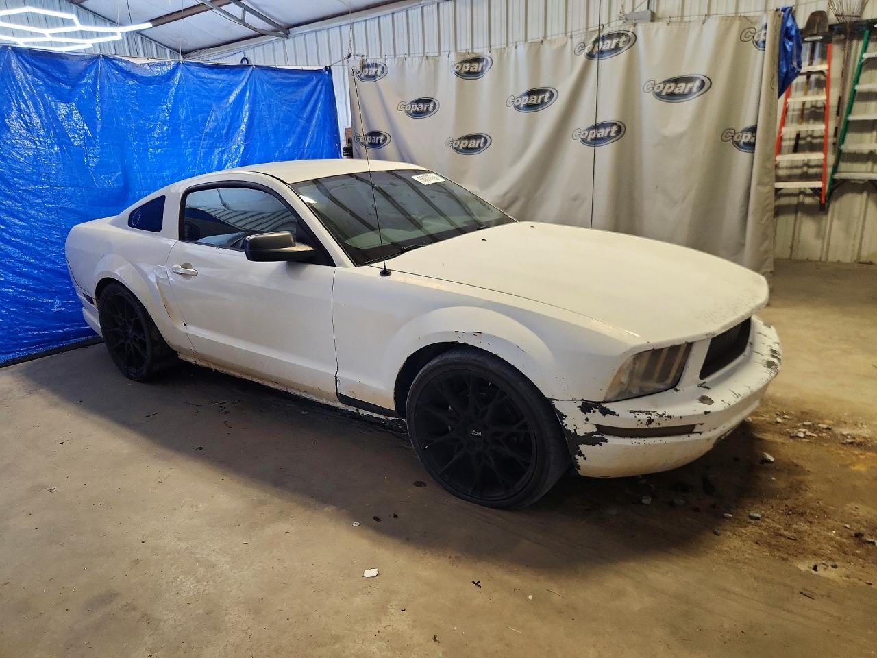 2005 Ford Mustang White vin: 1ZVFT80N155152369