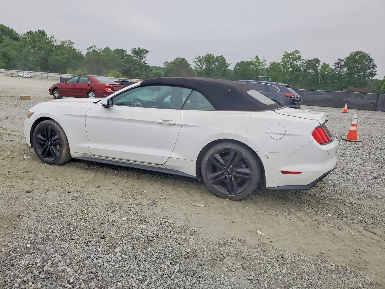2015 Ford Mustang White vin: 1FATP8UH0F5429339