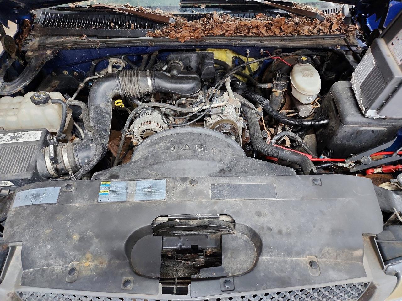 2003 Chevrolet Silverado K1500 Blue vin: 1GCEK14X03Z120197