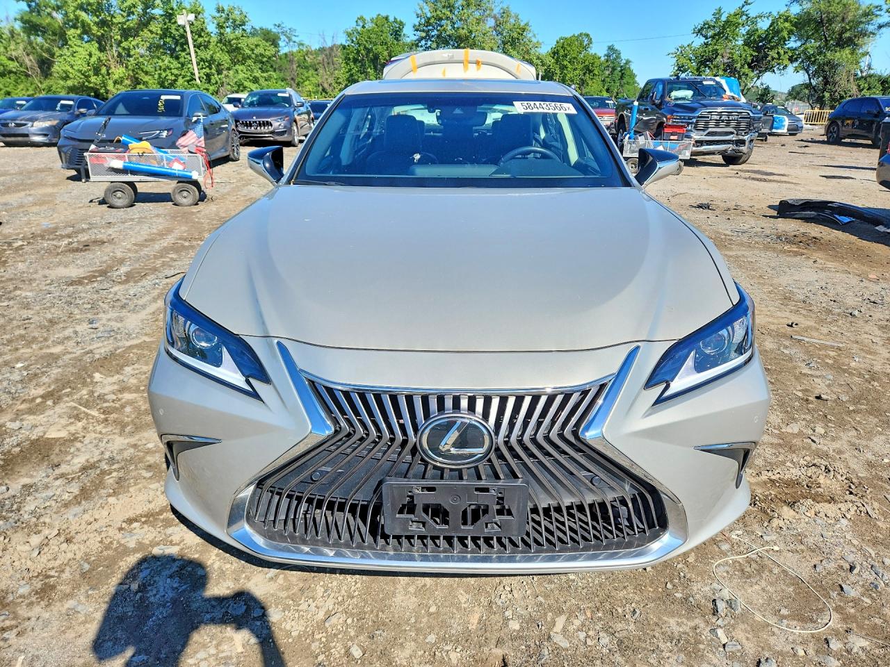2021 Lexus Es 350 Base Cream vin: 58ADZ1B19MU085751