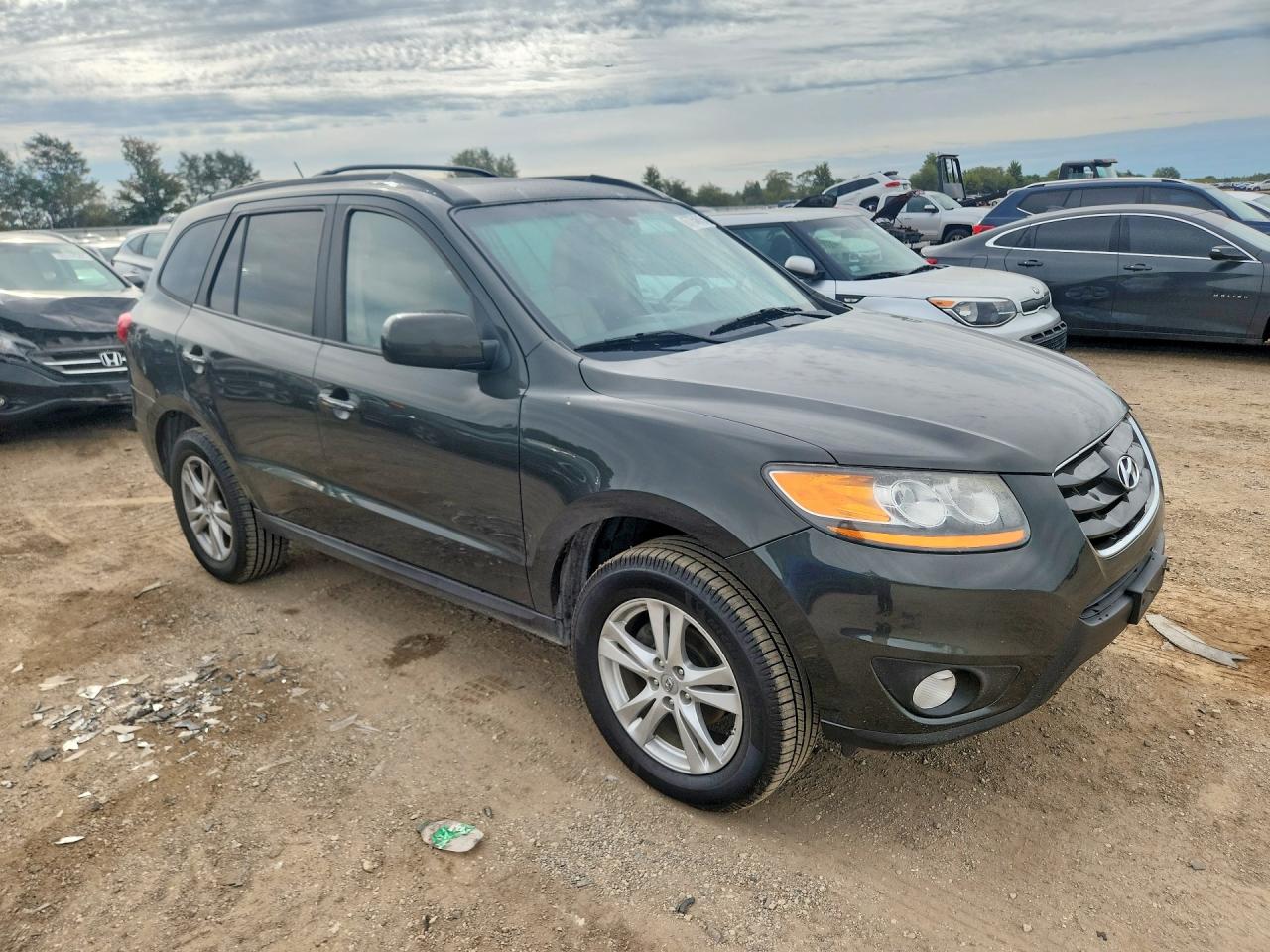 2010 Hyundai Santa Fe Limited Green vin: 5NMSK4AG5AH341028