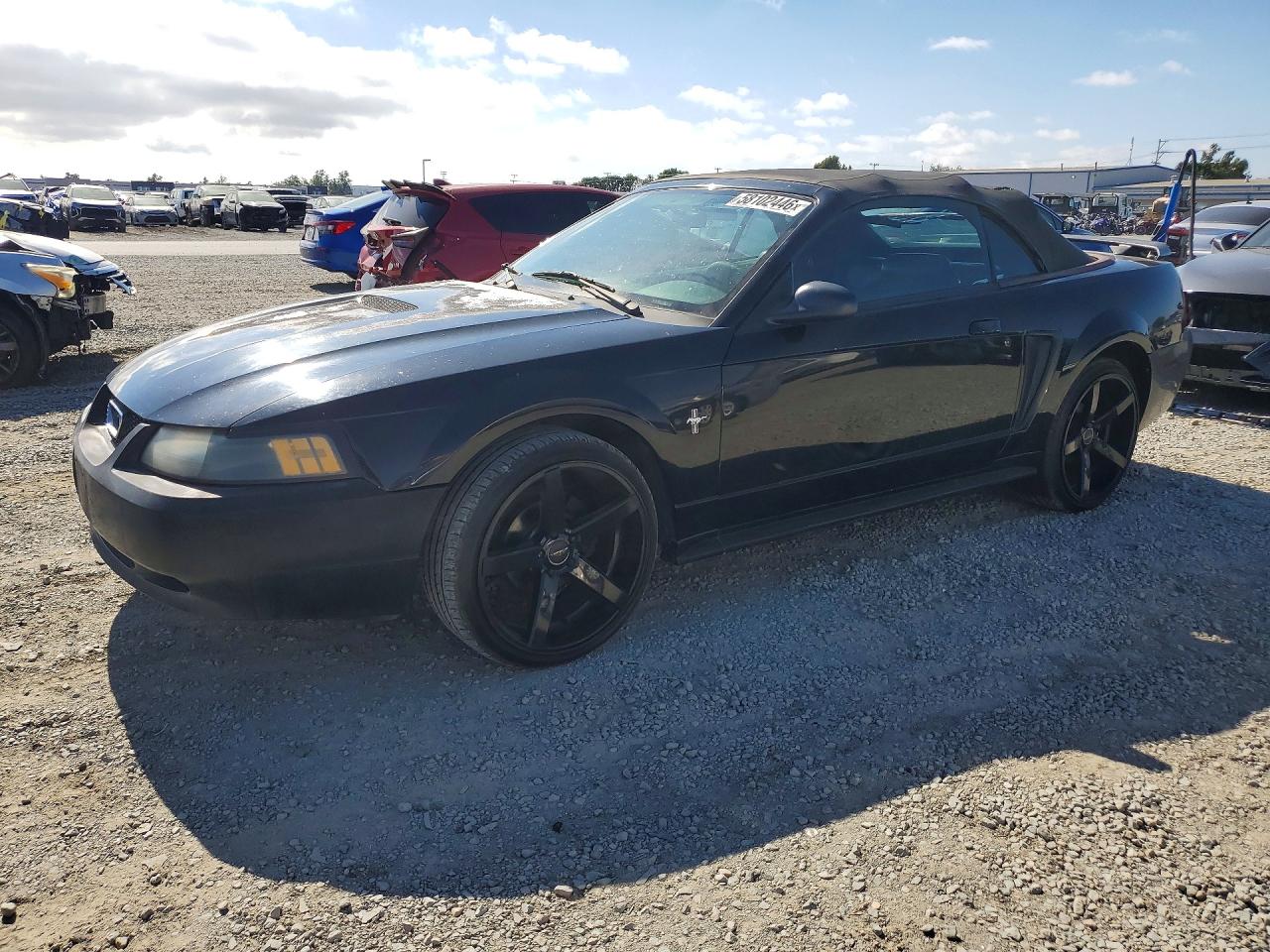 2001 Ford Mustang Black vin: 1FAFP44421F200263