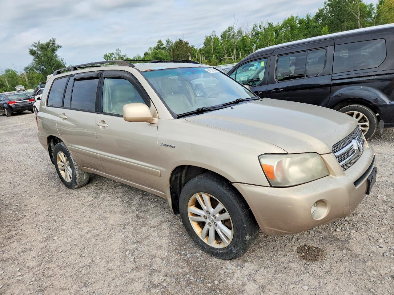 2006 Toyota Highlander Hybrid Gold vin: JTEEW21A460006749