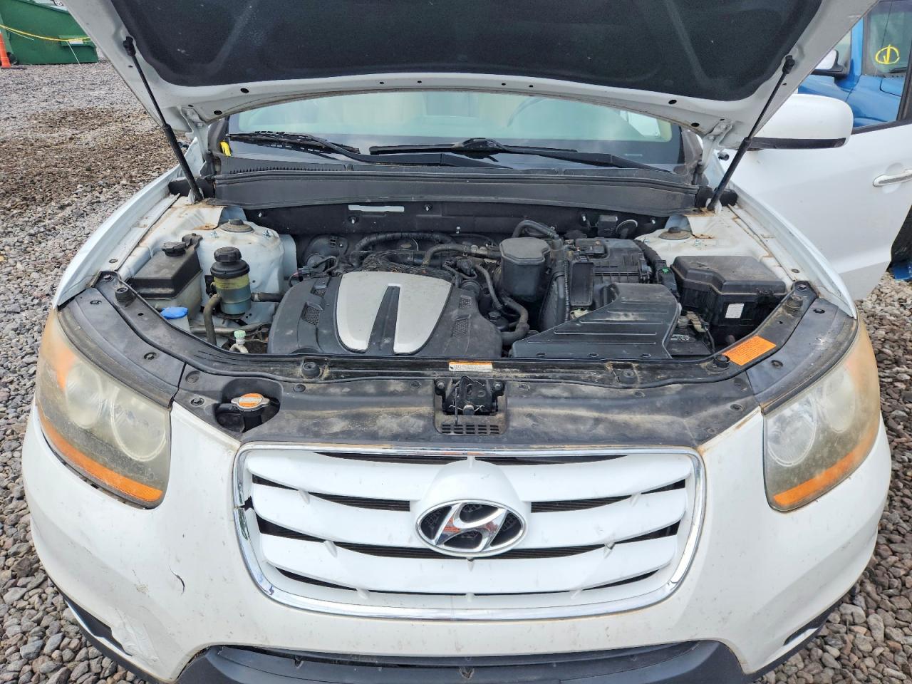 2011 Hyundai Santa Fe Limited Белый vin: 5XYZKDAG3BG026318