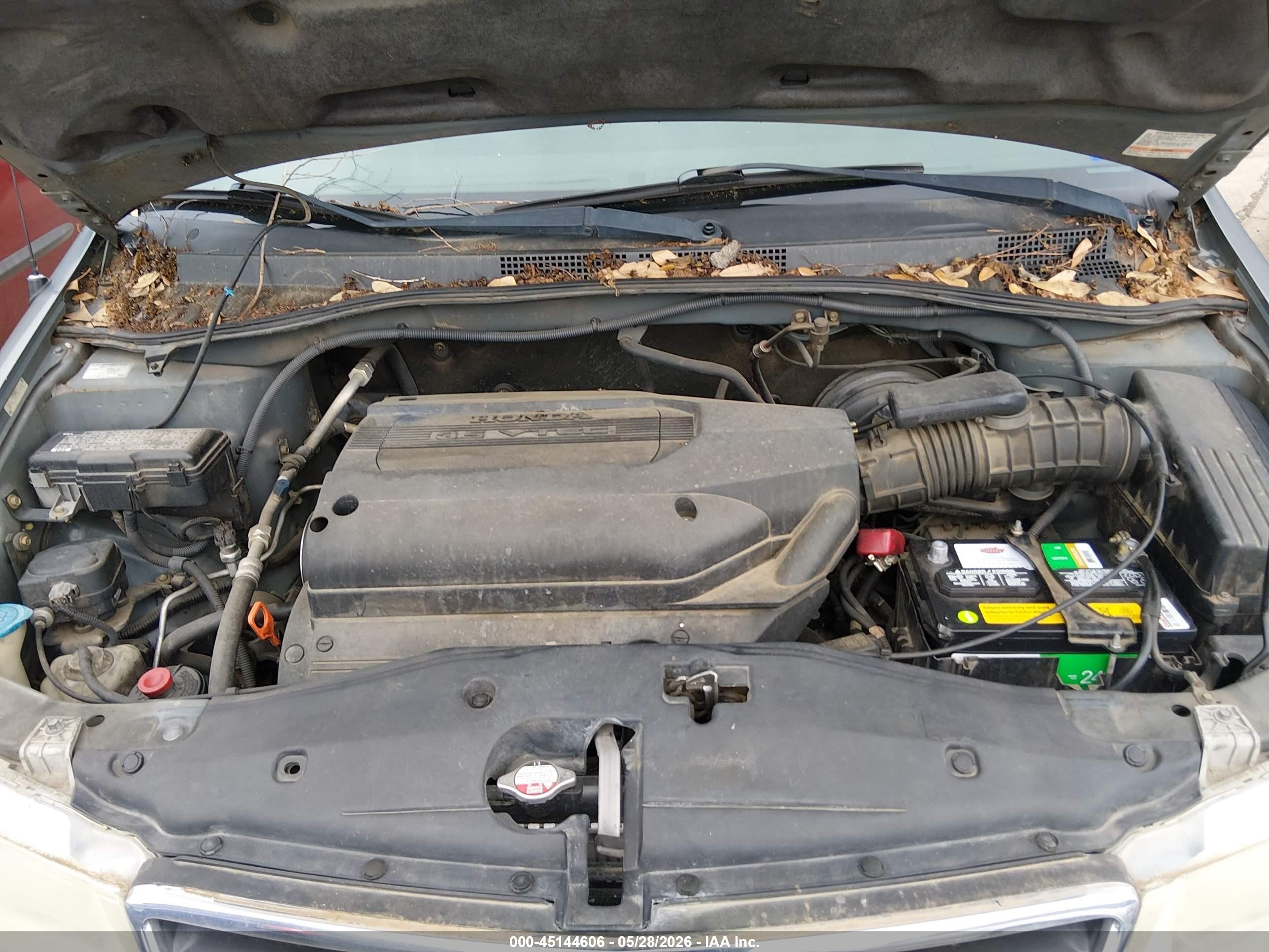 2002 Honda Odyssey Ex-l Синий vin: 5FNRL18012B010534