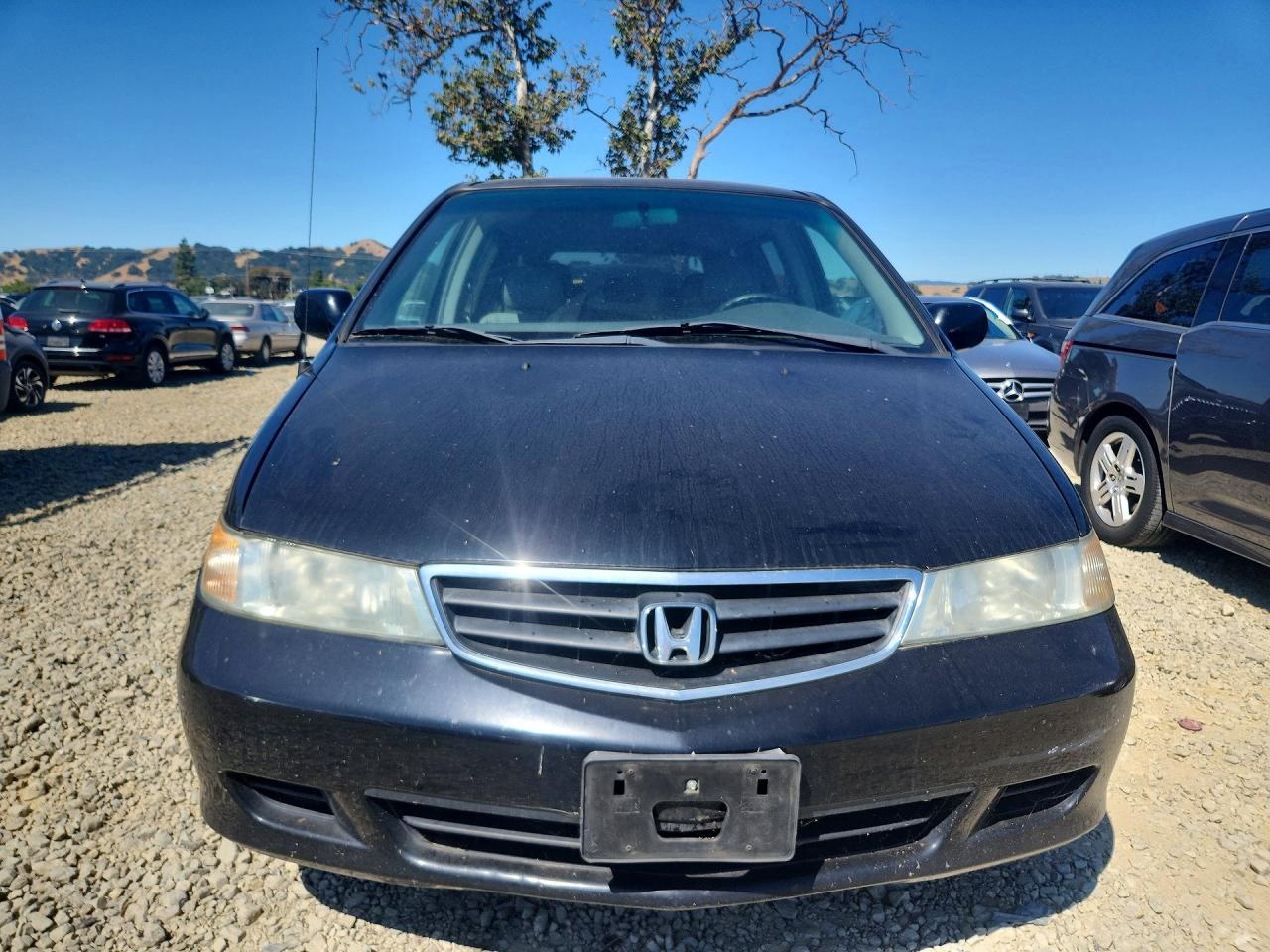 2004 Honda Odyssey Exl Black vin: 5FNRL18024B117871