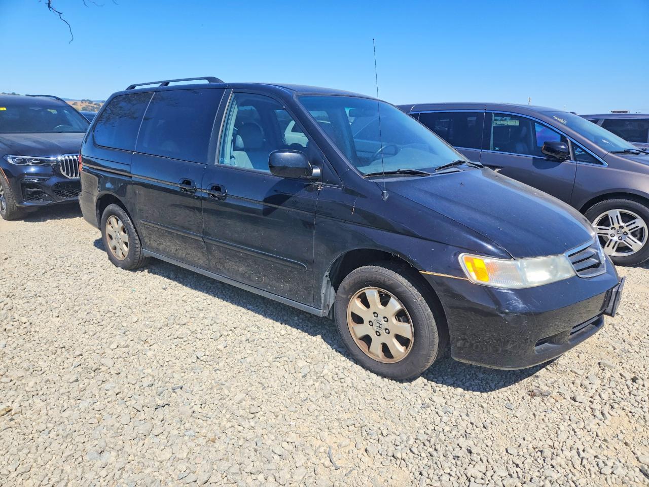 2004 Honda Odyssey Exl Black vin: 5FNRL18024B117871