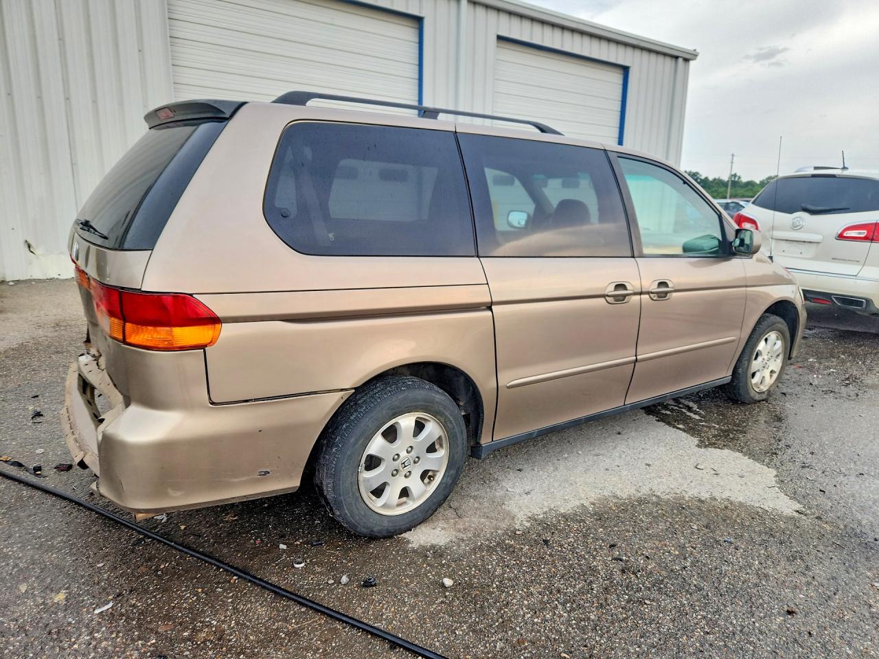2004 Honda Odyssey Exl Gold vin: 5FNRL18034B072018