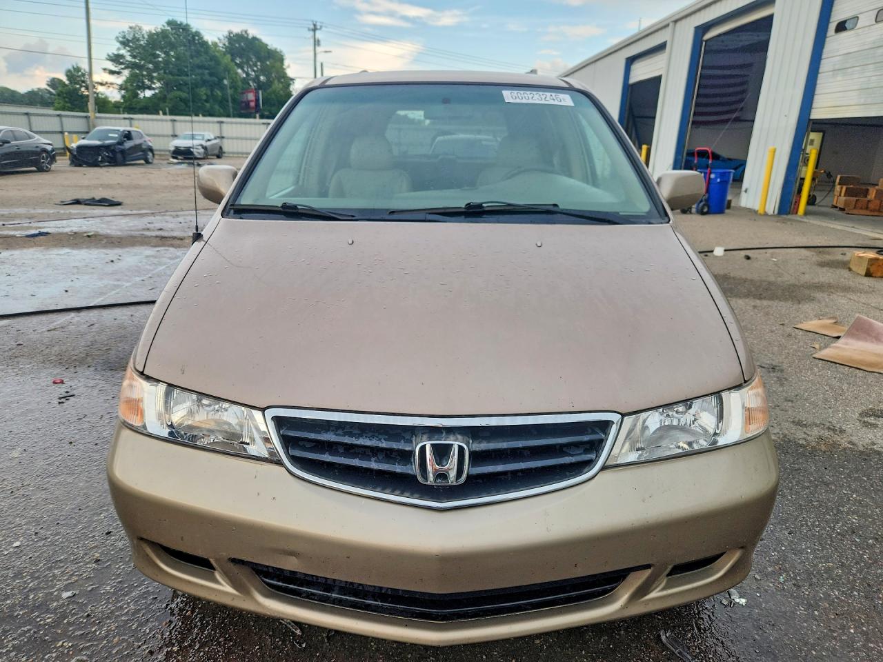 2004 Honda Odyssey Exl Gold vin: 5FNRL18034B072018