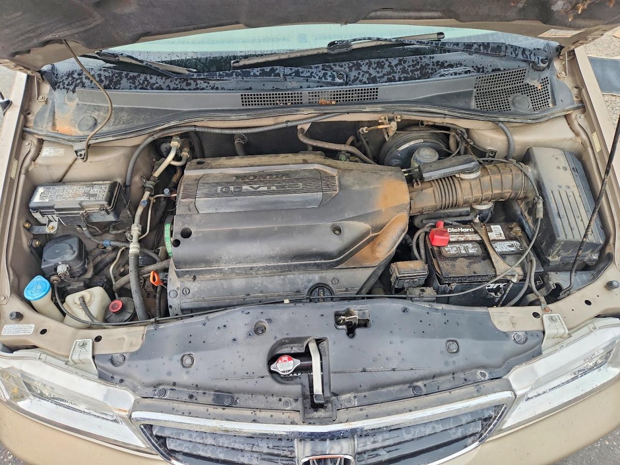 2004 Honda Odyssey Exl Gold vin: 5FNRL18034B072018