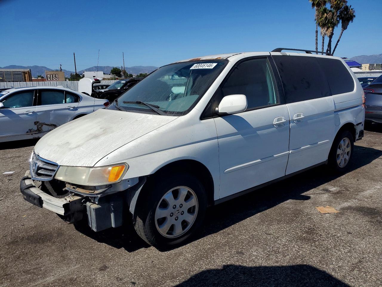 2003 Honda Odyssey Exl White vin: 5FNRL18073B111742