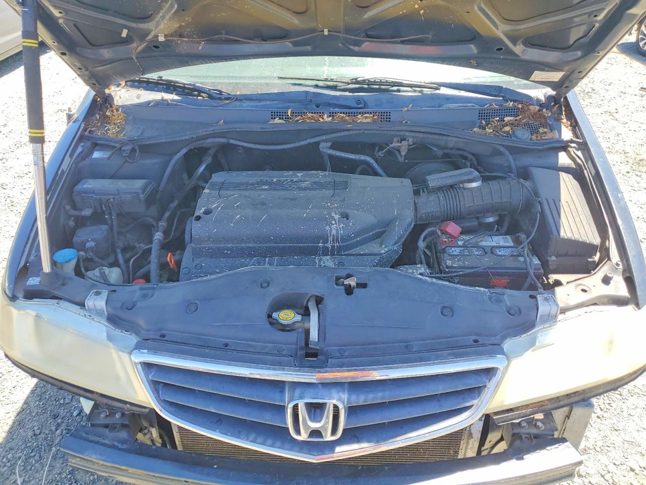 2004 Honda Odyssey Exl Gray vin: 5FNRL18074B033626