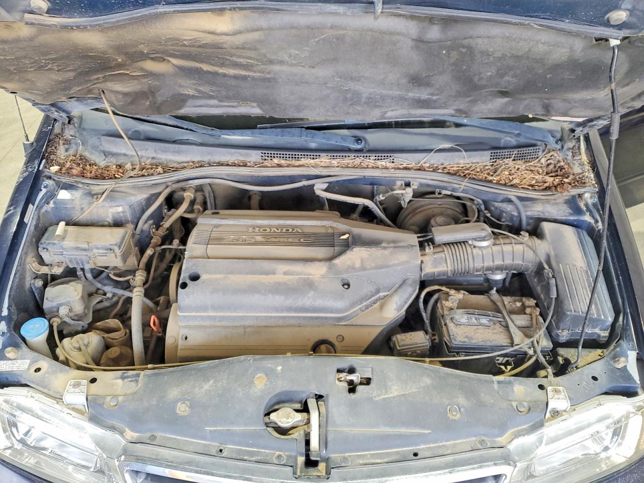 2003 Honda Odyssey Exl Blue vin: 5FNRL18083B028935