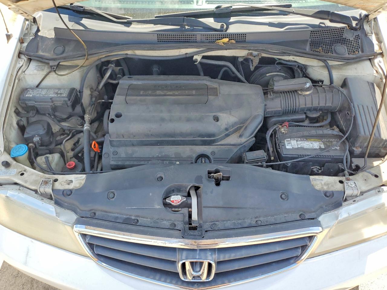 2004 Honda Odyssey Exl White vin: 5FNRL18094B017931