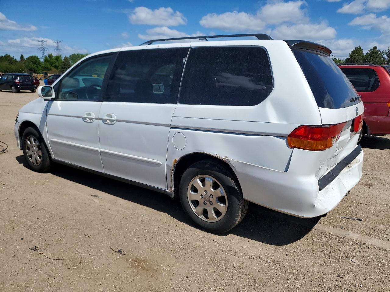 2004 Honda Odyssey Exl White vin: 5FNRL18094B017931