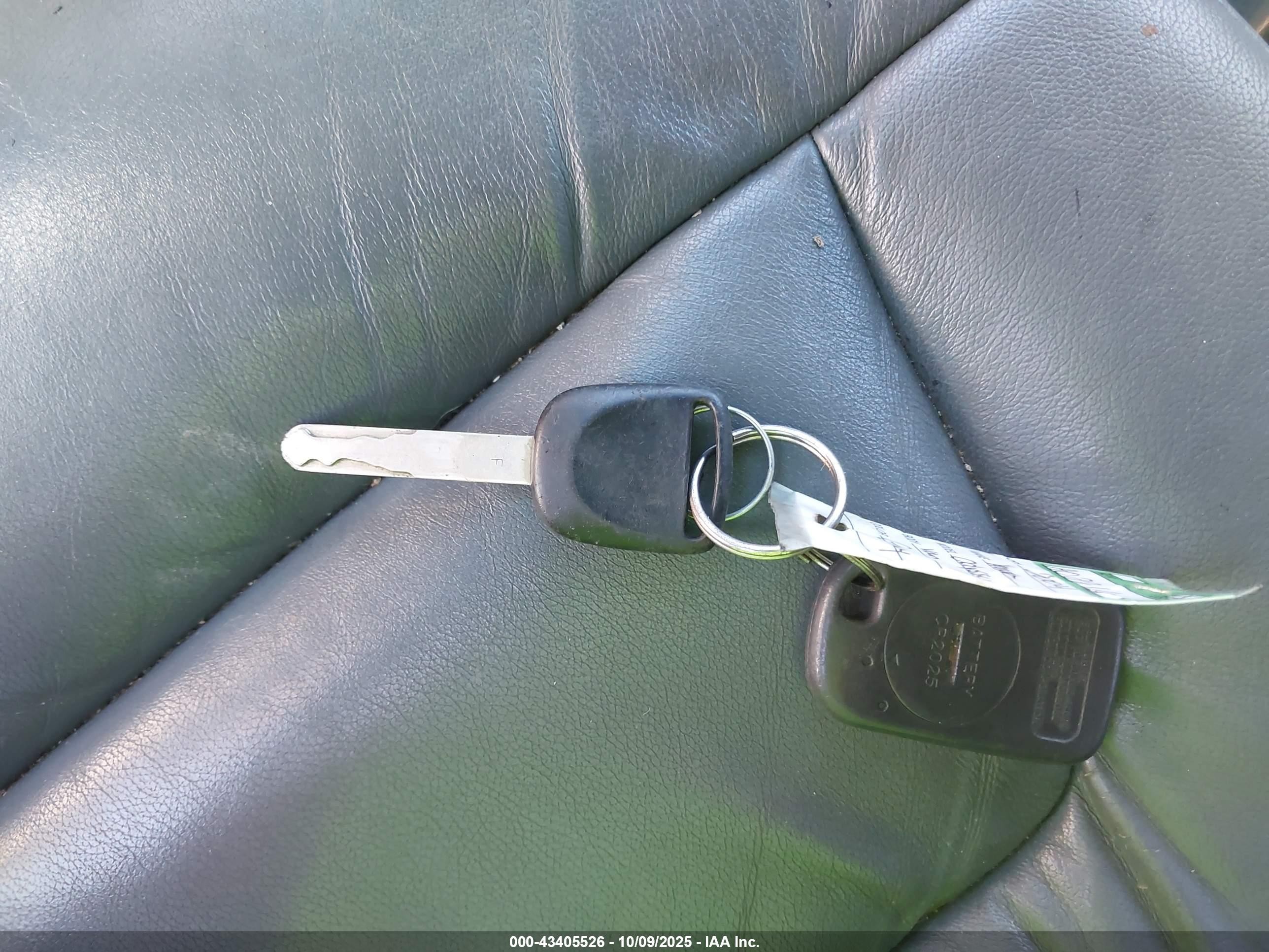 2004 Honda Odyssey Ex-l Green vin: 5FNRL180X4B033619