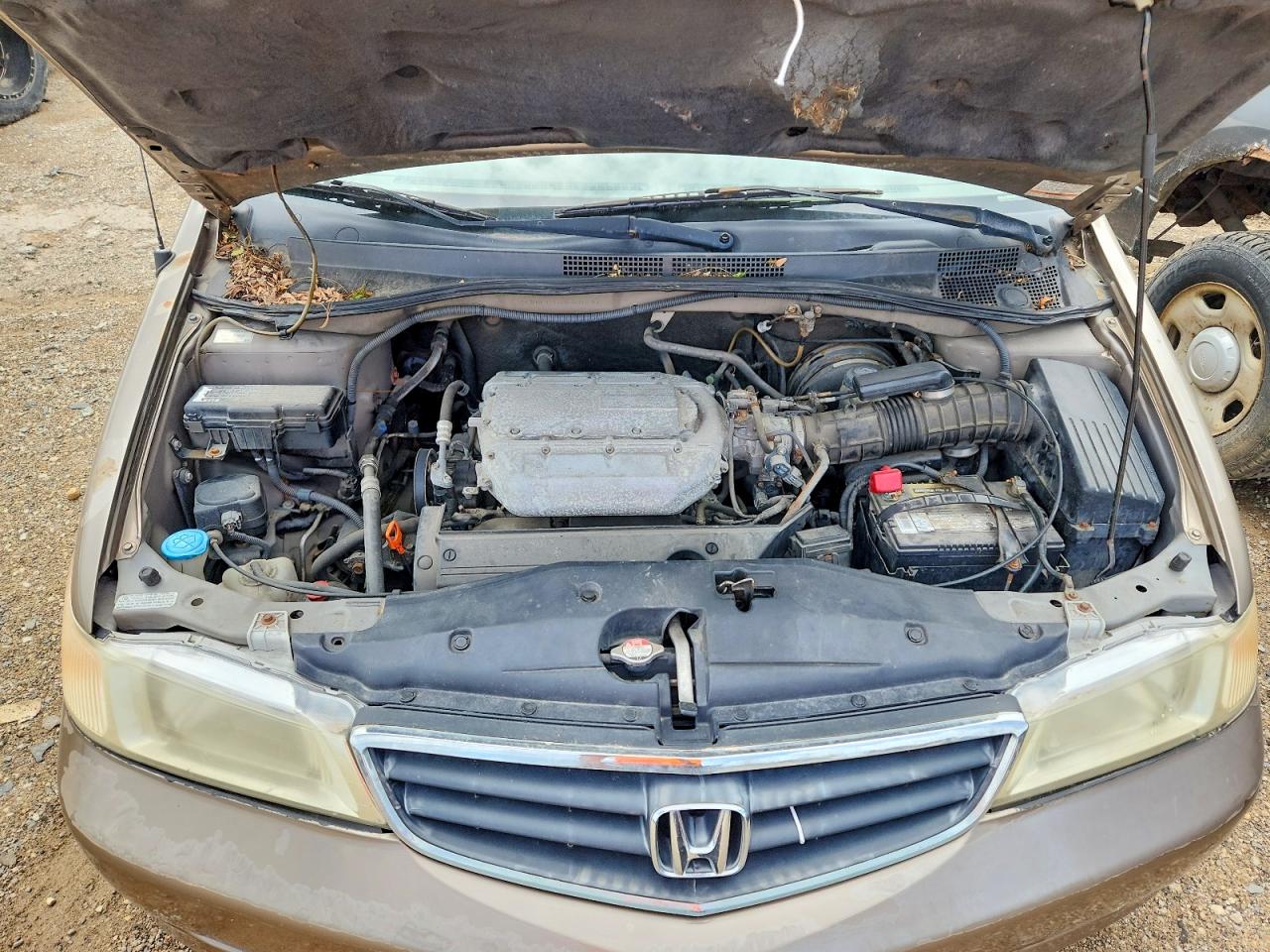 2004 Honda Odyssey Lx Tan vin: 5FNRL18574B016241