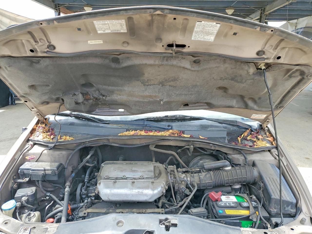 2003 Honda Odyssey Ex Gold vin: 5FNRL18603B048116