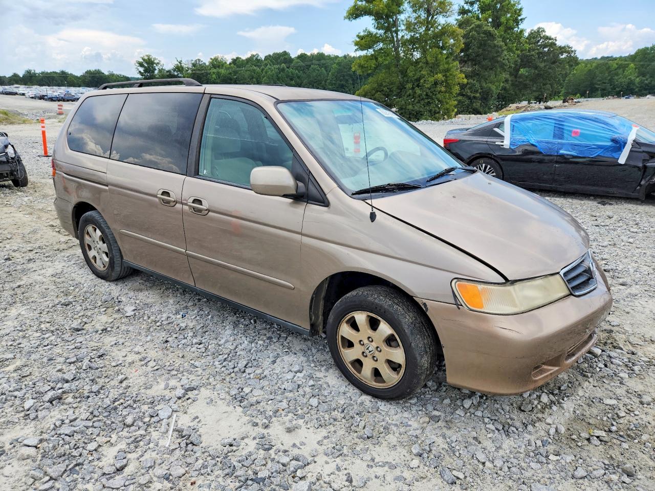 2004 Honda Odyssey Ex Желто-коричневый vin: 5FNRL18684B072696