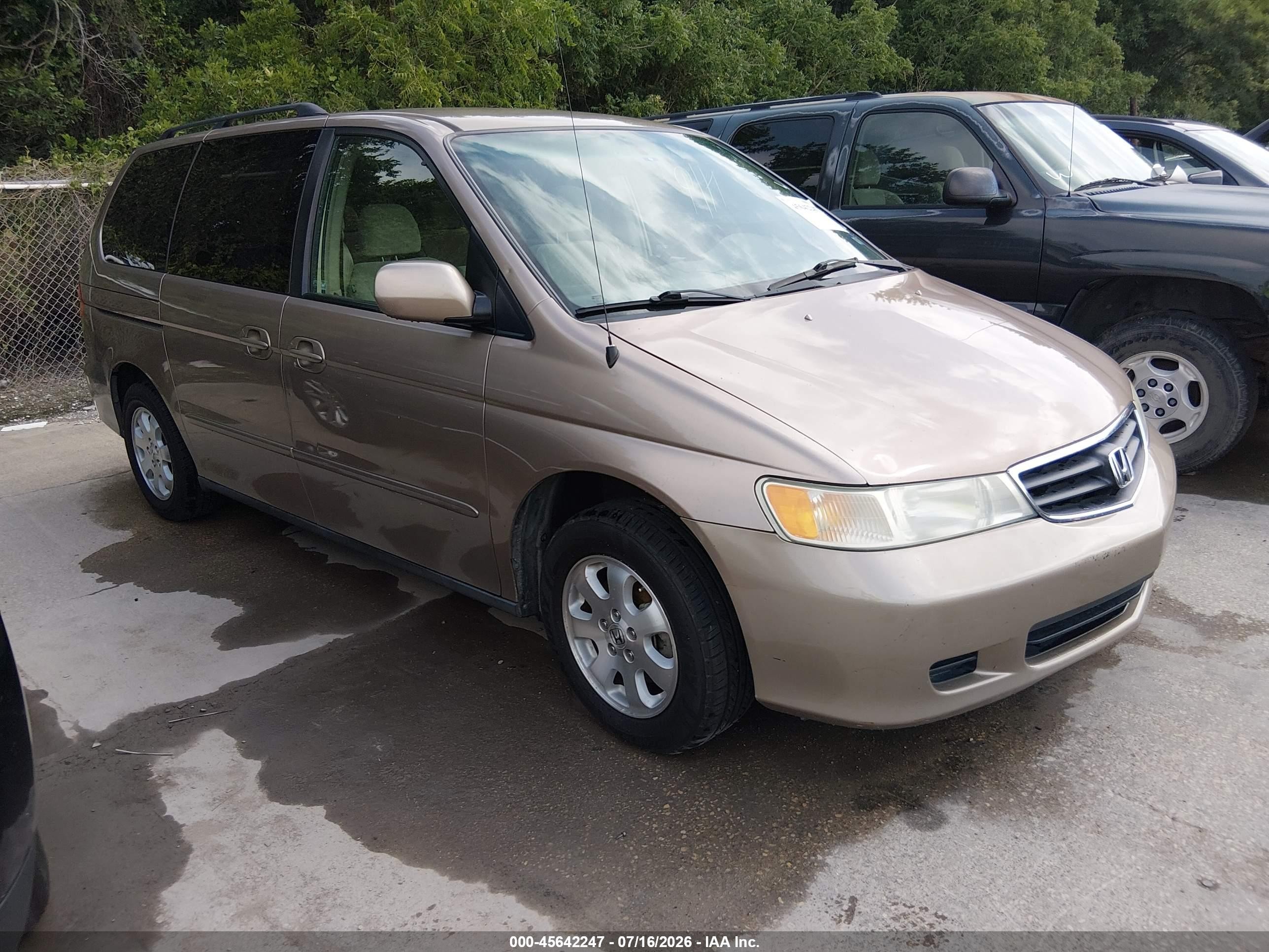 2004 Honda Odyssey Ex Brown vin: 5FNRL18694B049606