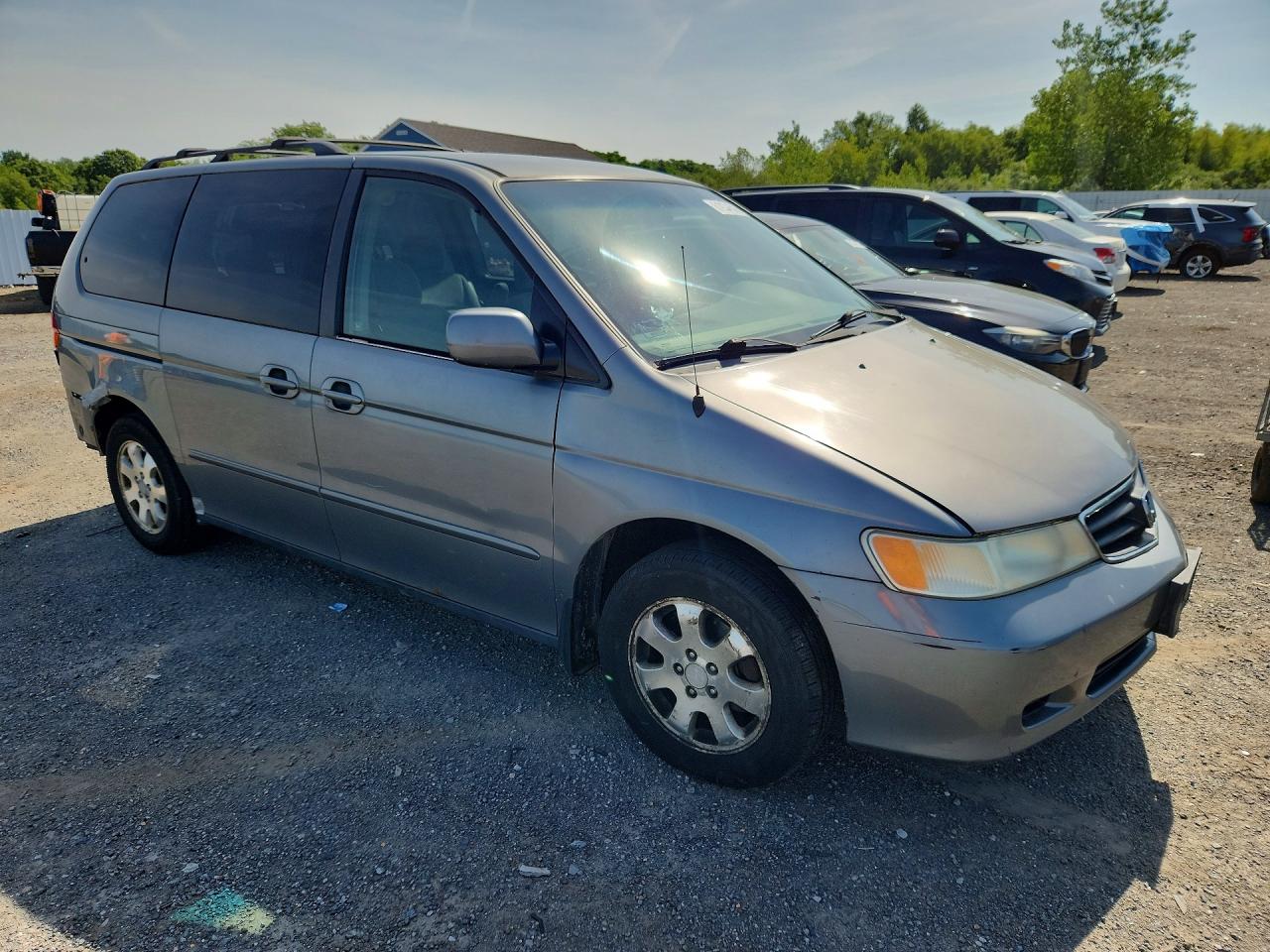 2002 Honda Odyssey Ex Gray vin: 5FNRL186X2B000802