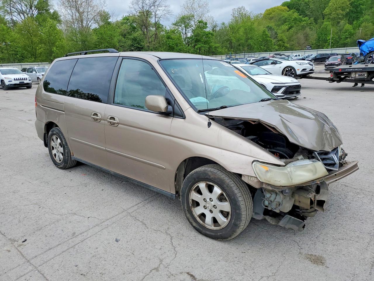 2004 Honda Odyssey Ex Gold vin: 5FNRL18844B145399