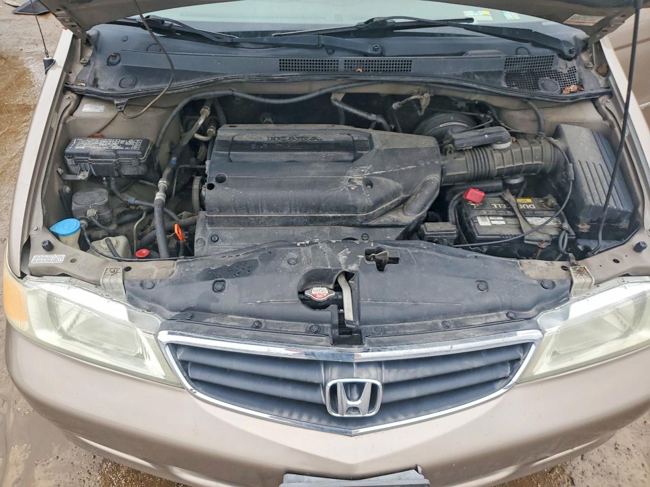 2004 Honda Odyssey Ex Tan vin: 5FNRL18864B133237