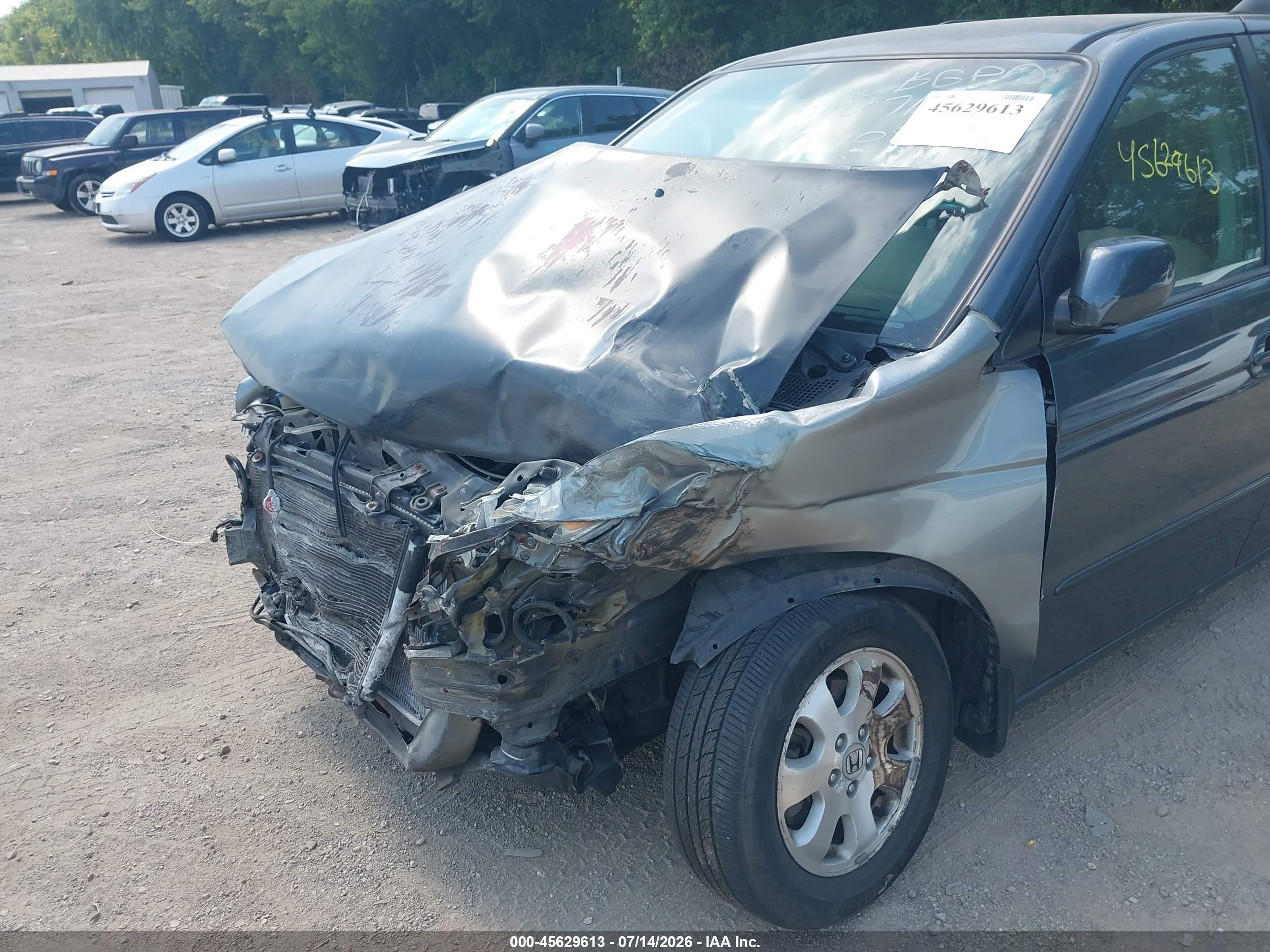 2004 Honda Odyssey Ex Gray vin: 5FNRL18884B083604