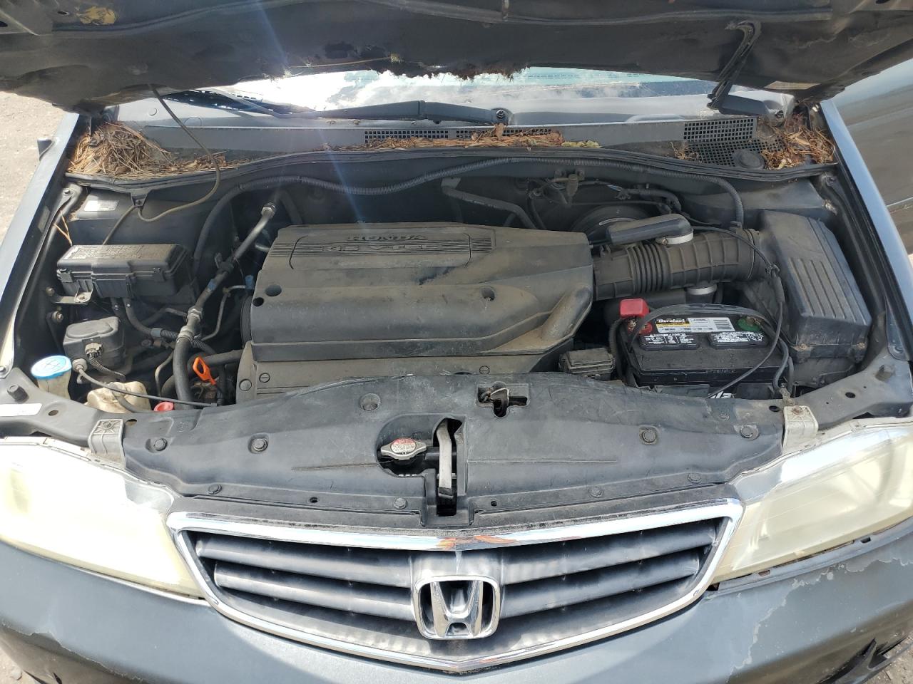 2004 Honda Odyssey Exl Gray vin: 5FNRL18924B096227