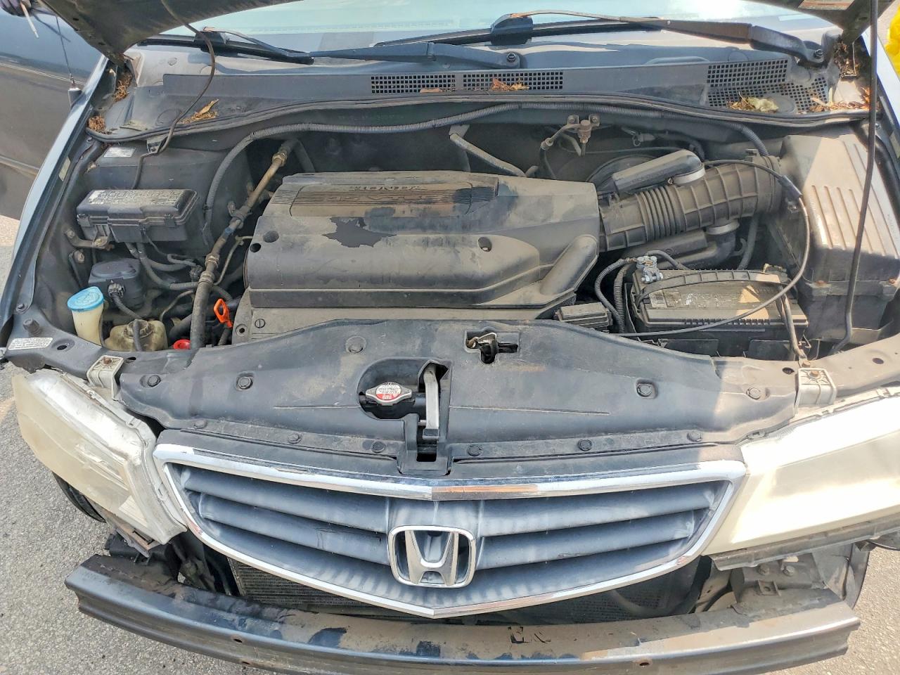 2004 Honda Odyssey Exl Charcoal vin: 5FNRL18944B009704