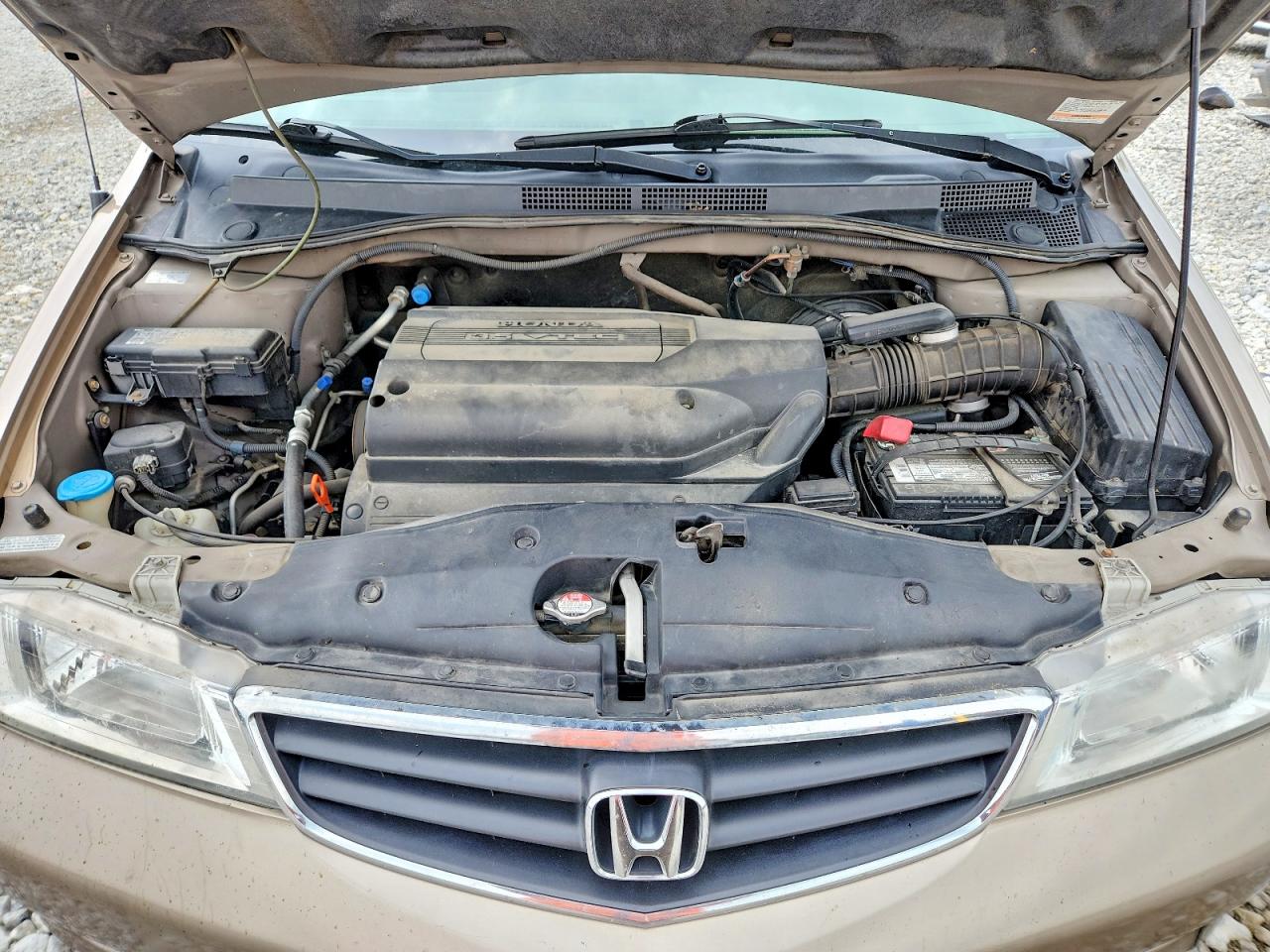 2004 Honda Odyssey Exl Tan vin: 5FNRL18944B013798