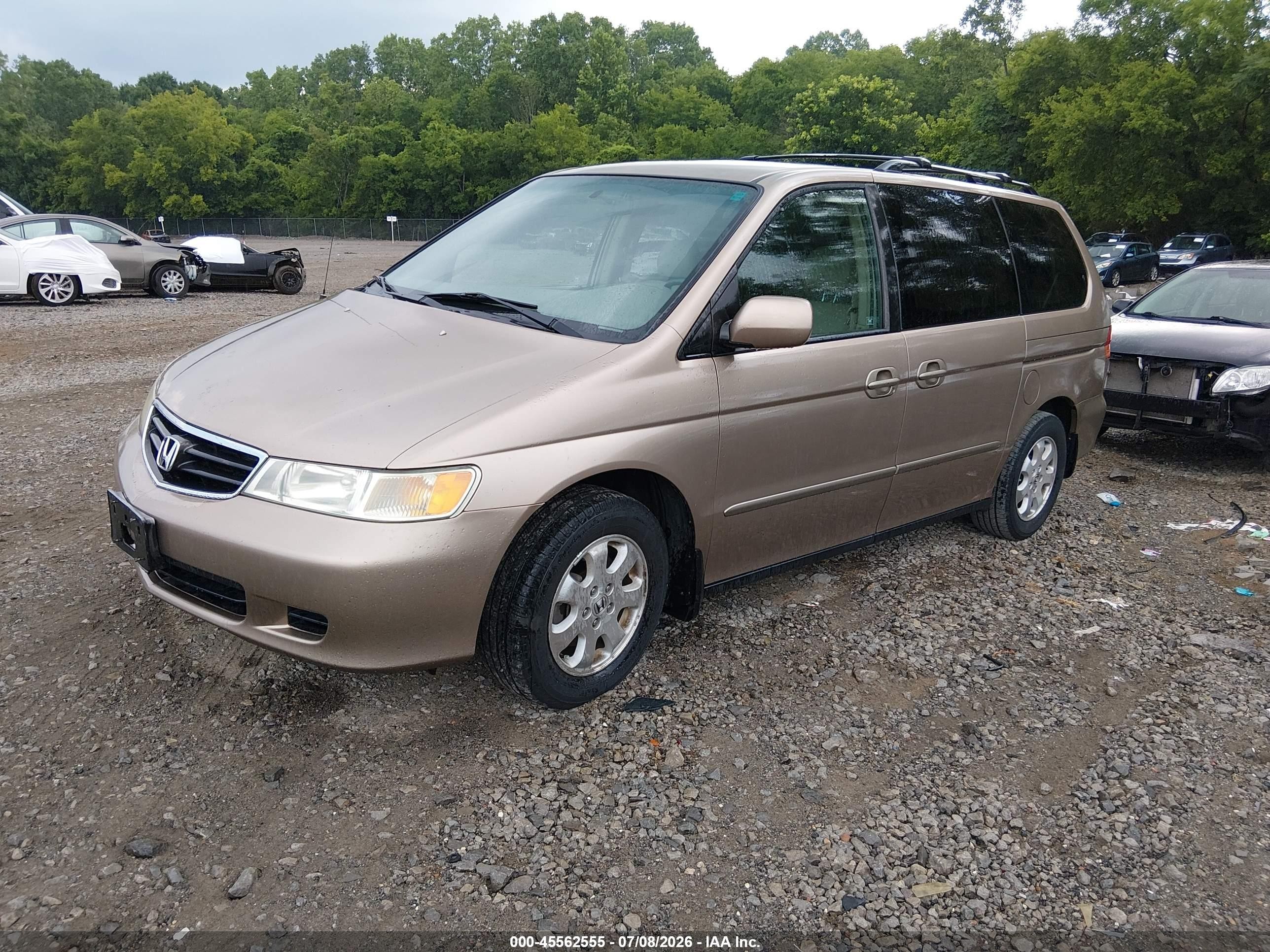 2003 Honda Odyssey Ex-l Gold vin: 5FNRL18953B018586