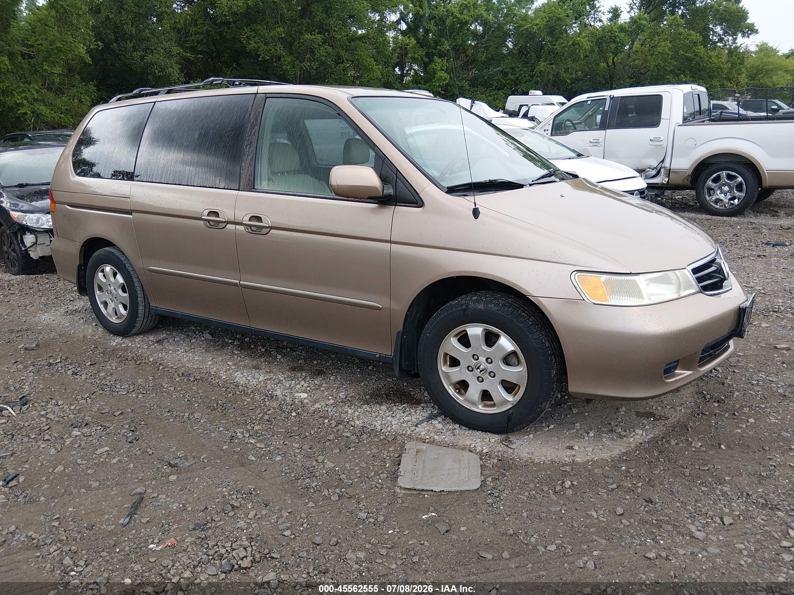 2003 Honda Odyssey Ex-l Gold vin: 5FNRL18953B018586