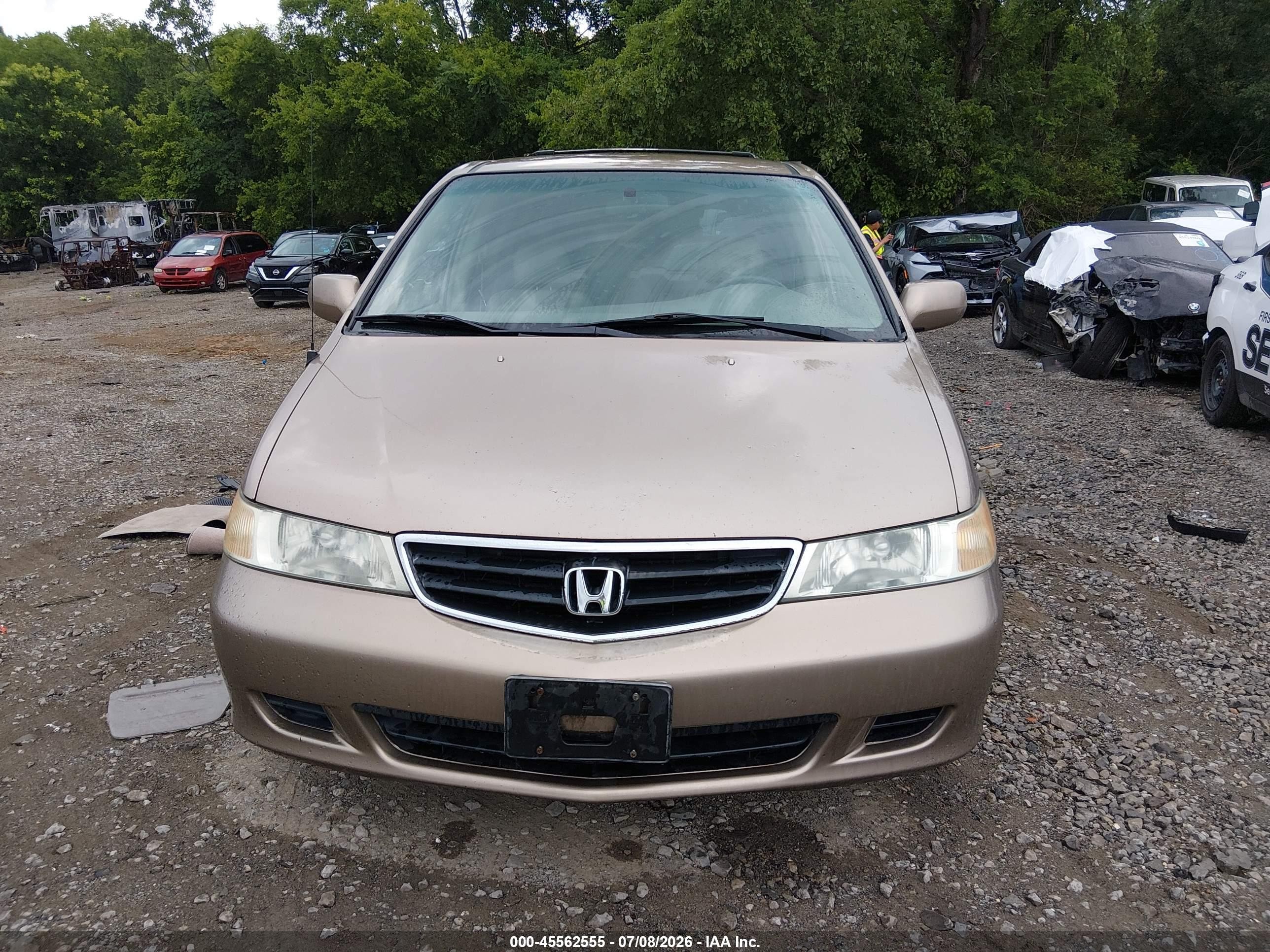 2003 Honda Odyssey Ex-l Gold vin: 5FNRL18953B018586