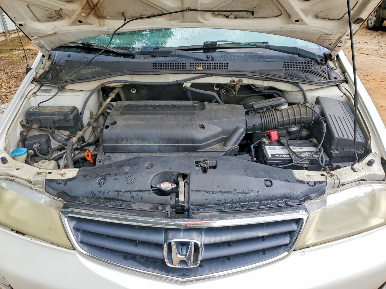 2003 Honda Odyssey Exl Белый vin: 5FNRL18963B000811