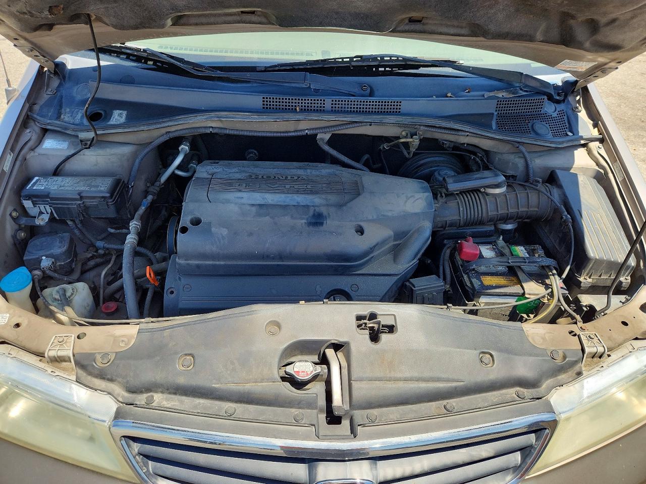 2003 Honda Odyssey Exl Tan vin: 5FNRL18973B105440