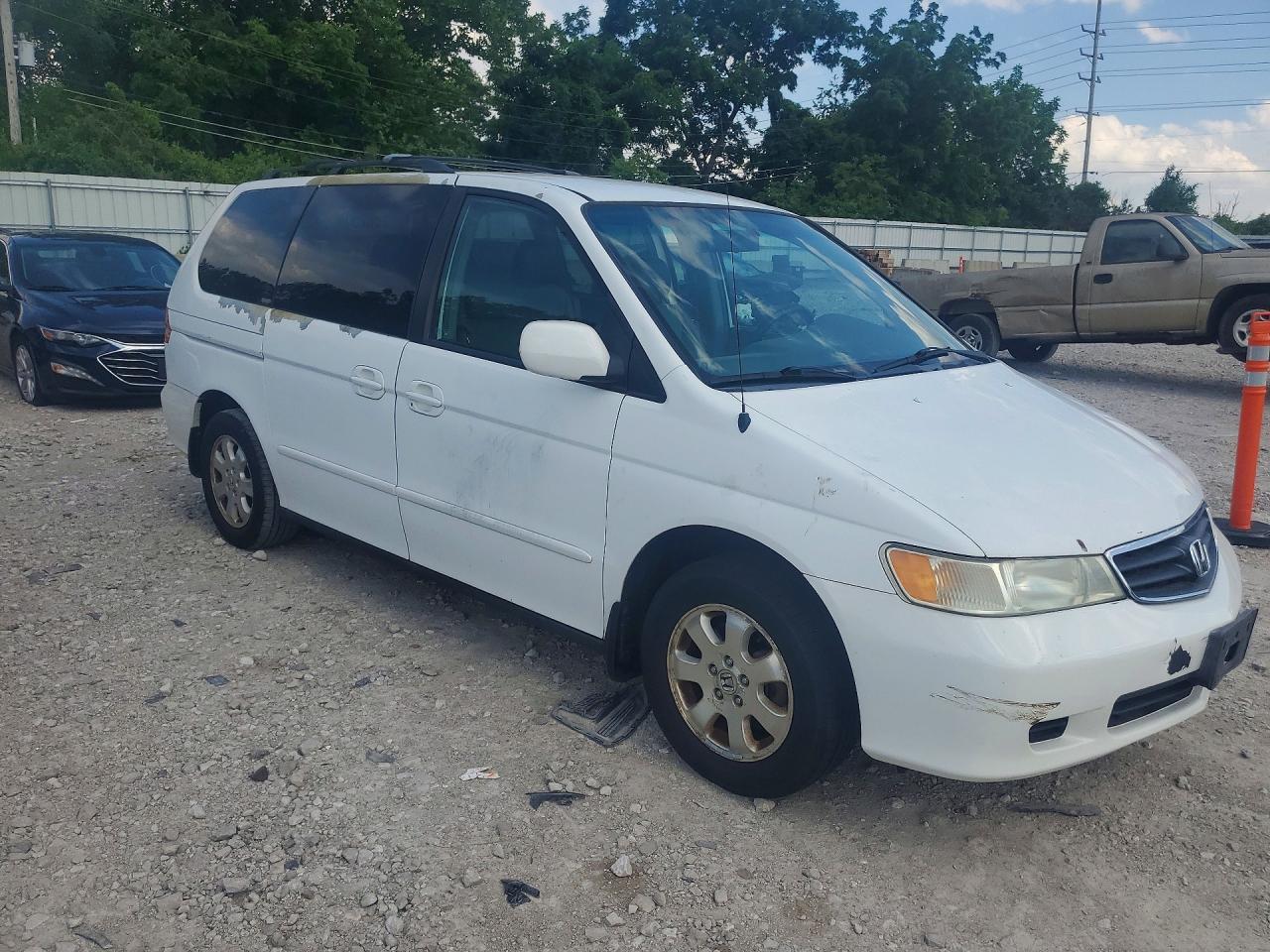 2004 Honda Odyssey Exl White vin: 5FNRL18974B064051