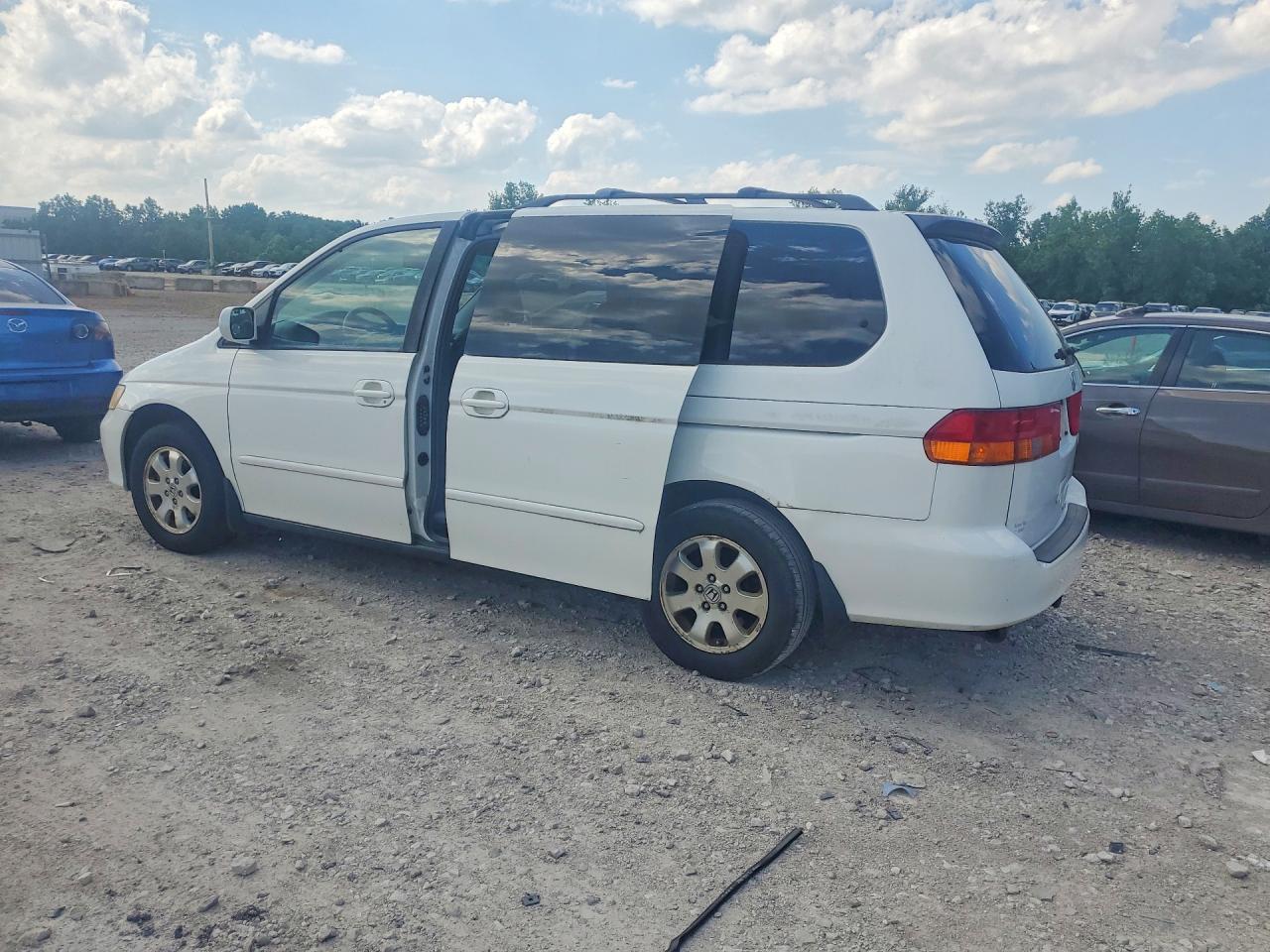 2004 Honda Odyssey Exl White vin: 5FNRL18974B064051