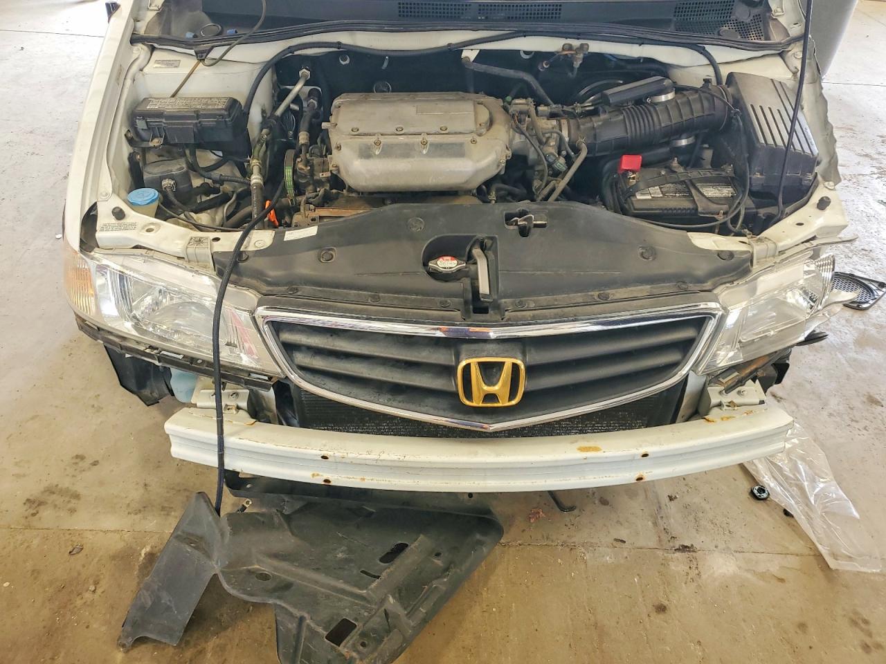 2003 Honda Odyssey Exl White vin: 5FNRL18983B022017