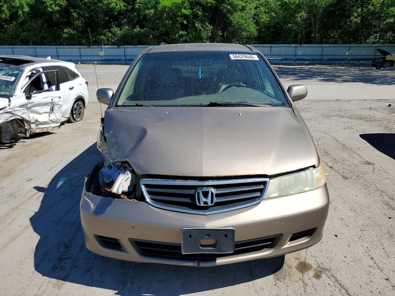 2003 Honda Odyssey Exl Tan vin: 5FNRL18983B045734