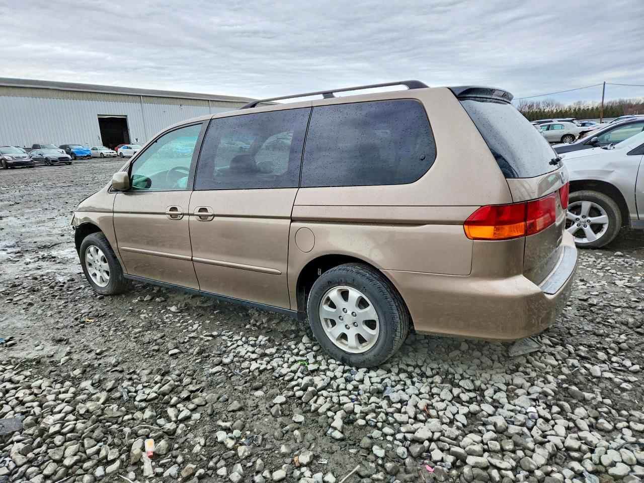 2003 Honda Odyssey Exl Silver vin: 5FNRL18983B122215