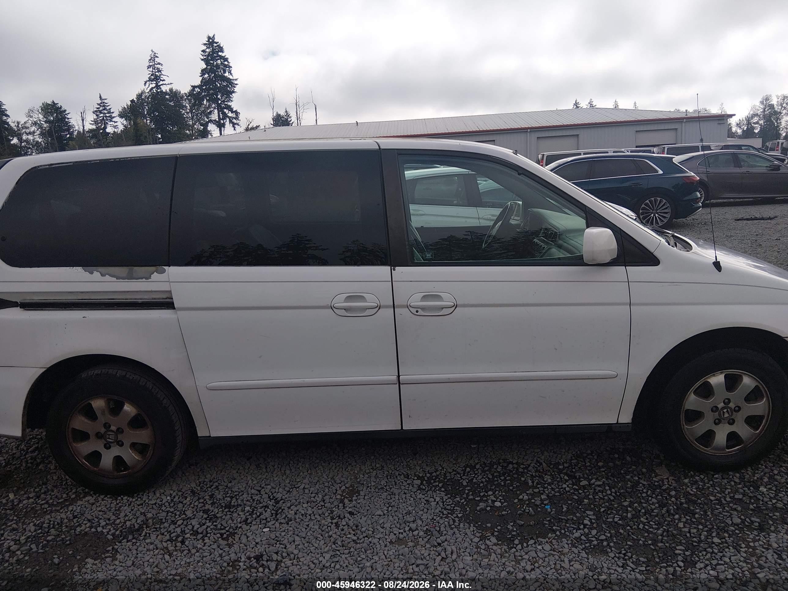 2004 Honda Odyssey Ex-l White vin: 5FNRL18984B016090