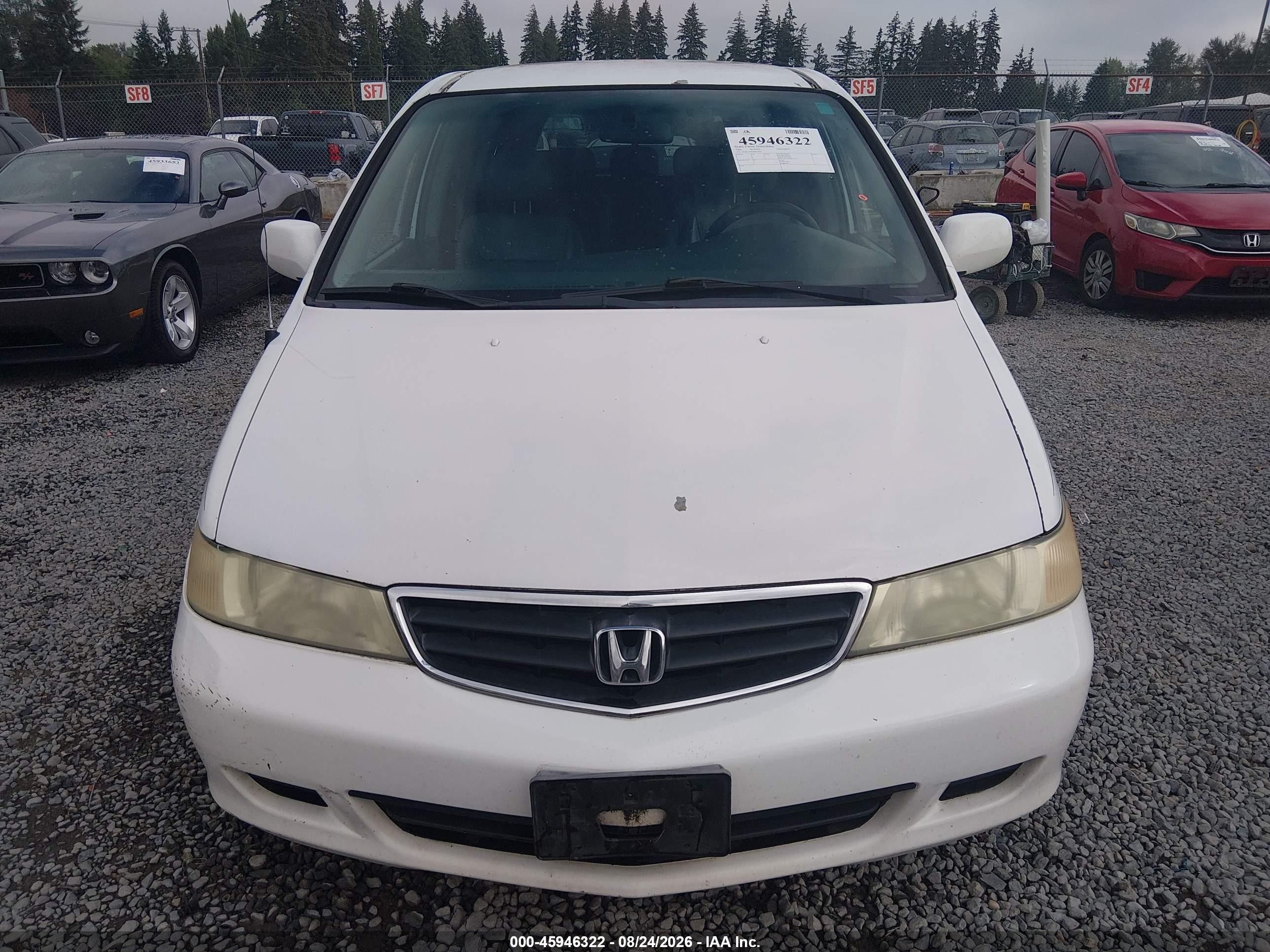 2004 Honda Odyssey Ex-l White vin: 5FNRL18984B016090