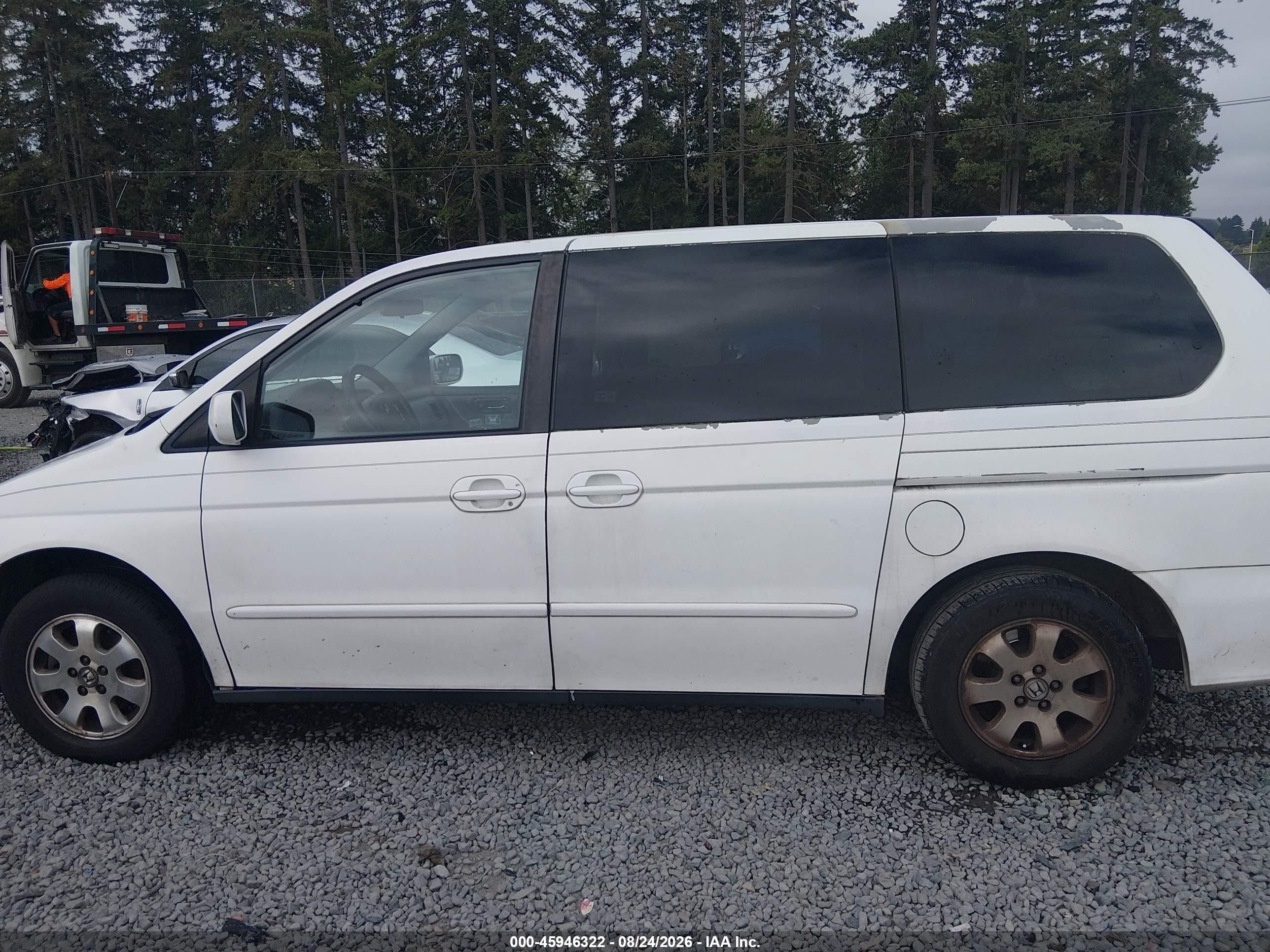 2004 Honda Odyssey Ex-l White vin: 5FNRL18984B016090