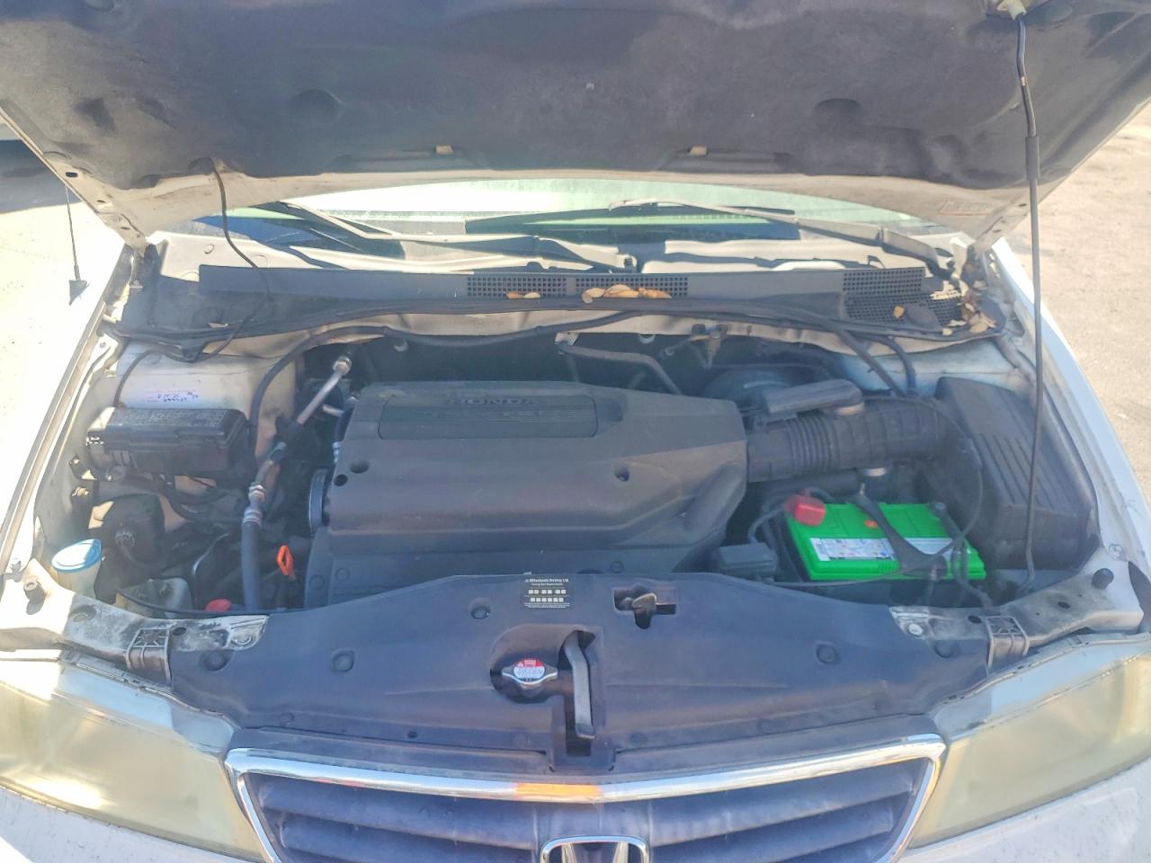 2004 Honda Odyssey Exl Белый vin: 5FNRL18984B061370