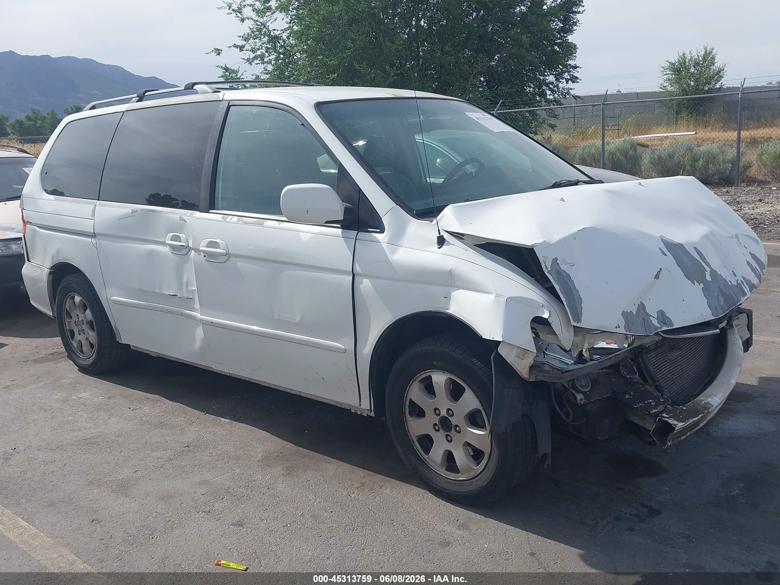 2004 Honda Odyssey Ex-l White vin: 5FNRL18994B092952