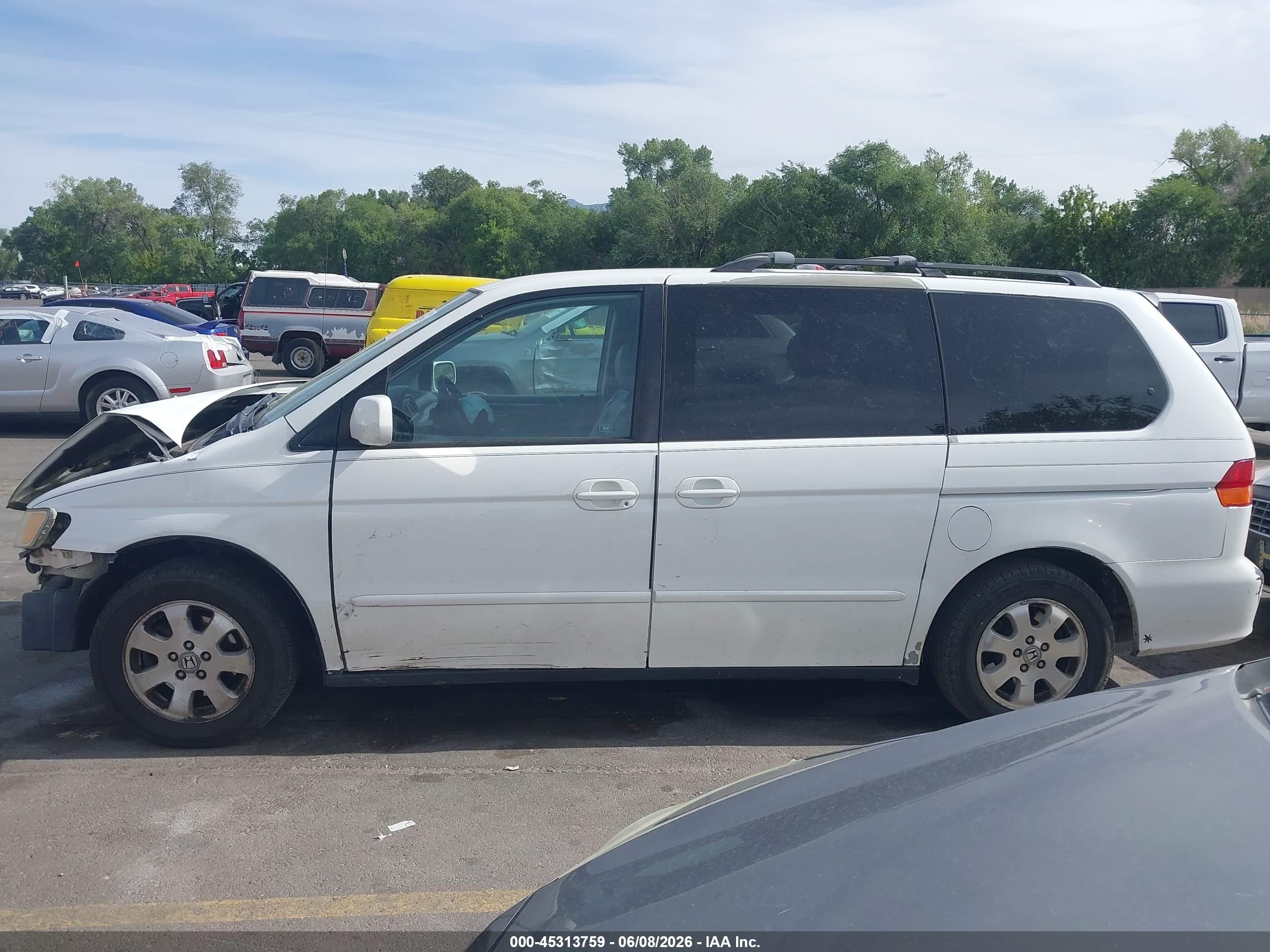 2004 Honda Odyssey Ex-l White vin: 5FNRL18994B092952