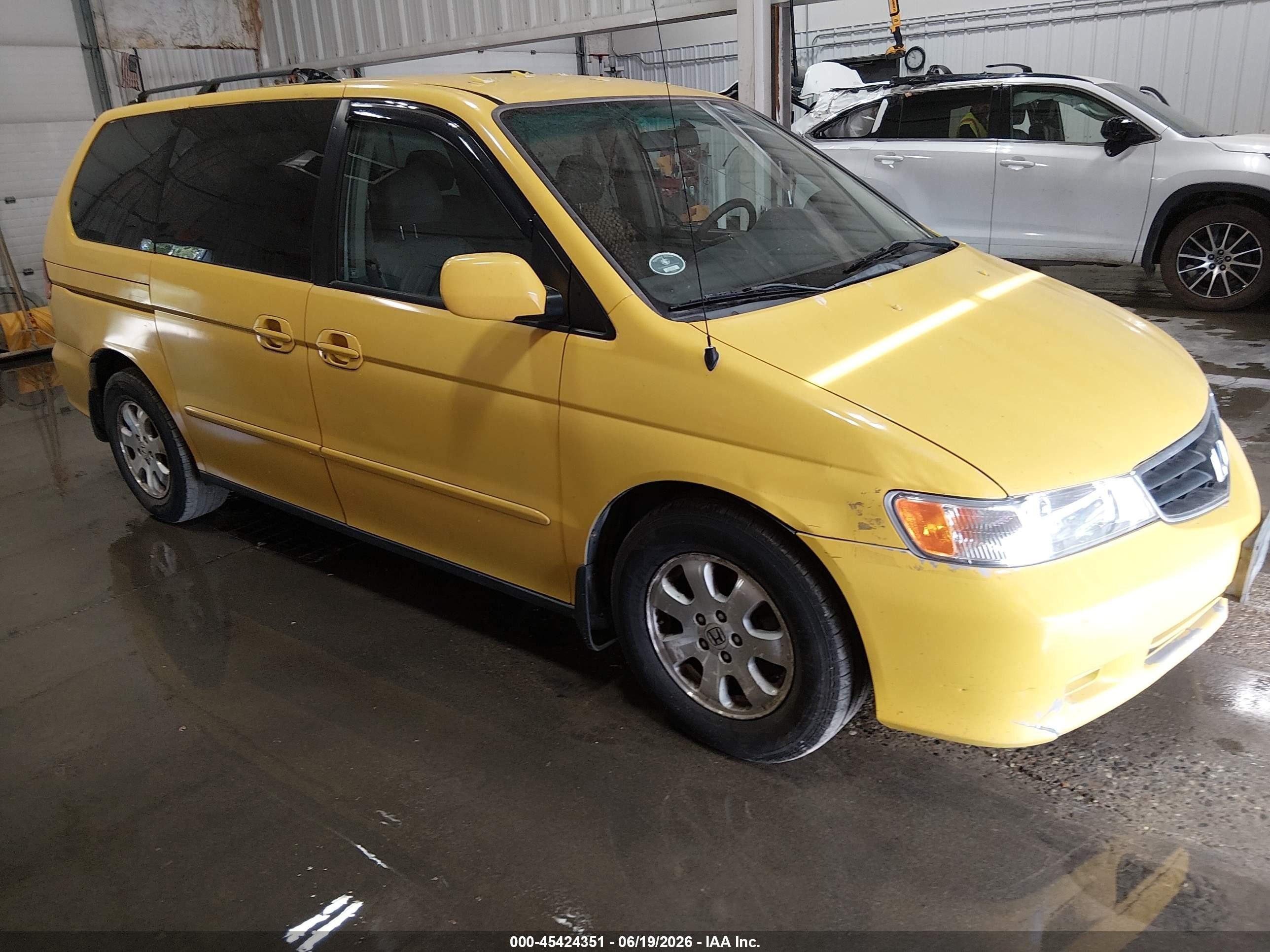 2003 Honda Odyssey Ex-l Yellow vin: 5FNRL189X3B074345